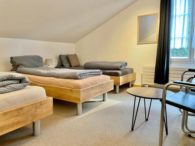 VIVA Hostel