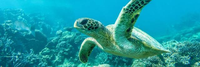 Ningaloo Lodge Exmouth