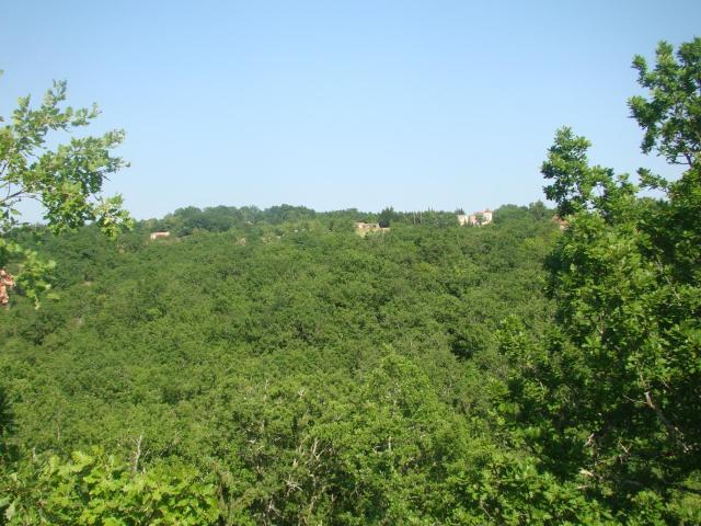 CAMPING LES GRAVES - Cabane TITHOME