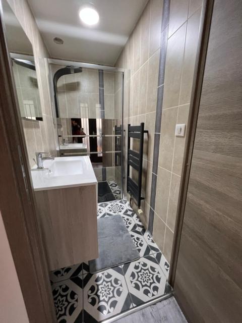 Logement entier : Superbe appartement centre ville