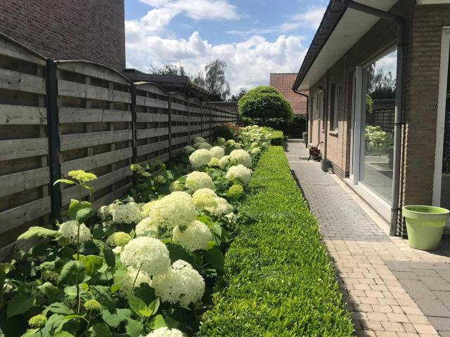 LinZn vakantiehuis