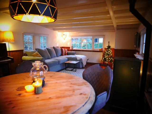 Cosy Cabin in the Woods - with Whirlpool, Piano & Fireplace