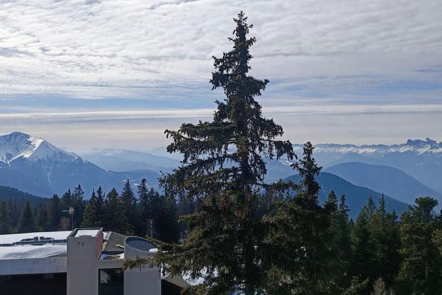 Appartement 2 chambres avec vue au pied des pistes