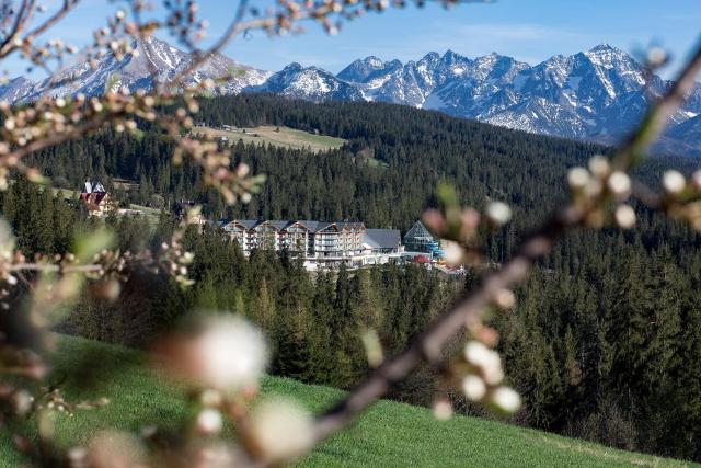 Hotel BUKOVINA