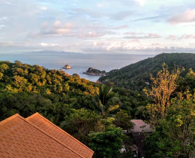 Tree House Bungalows Koh Tao