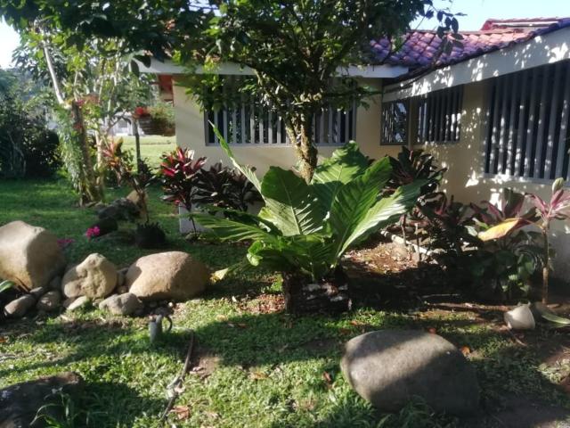 Casa Sophia 3 listings Apartment 1 or Apartment 2 separately or Apt 1 and 2 together all with FO internet