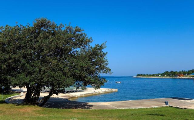 Happy Camp Mobile Homes in Camping Park Umag