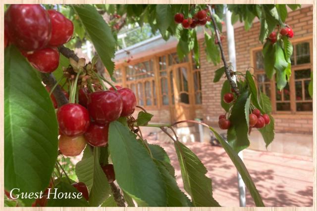 Spring Family Guest House