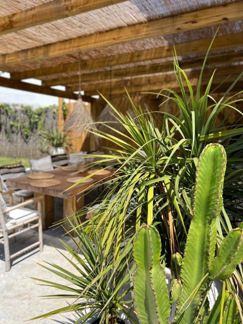 Ocean House Ericeira - next to Ribeira d'ilhas Surf Beach