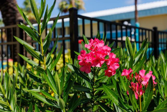 Garnet Inn & Suites, Orlando