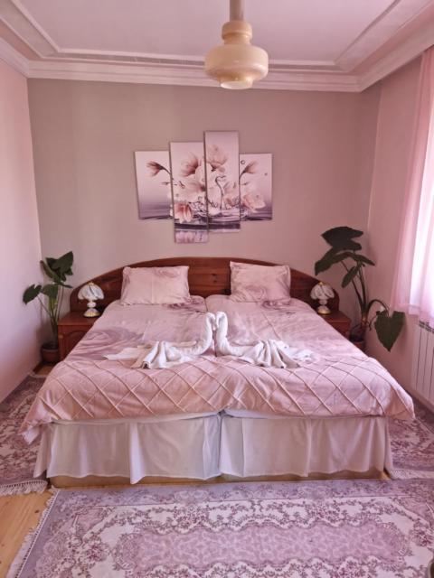 Guest House Detelina