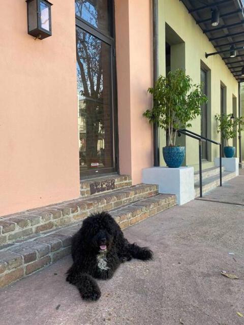 Historic Garden District 5BR with Parking and Balcony