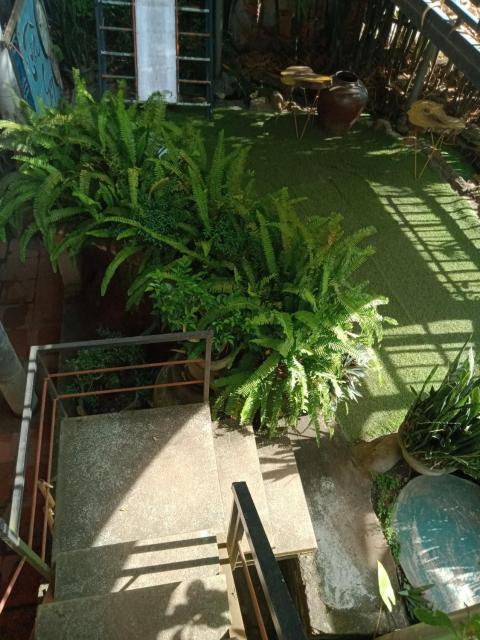Le Home