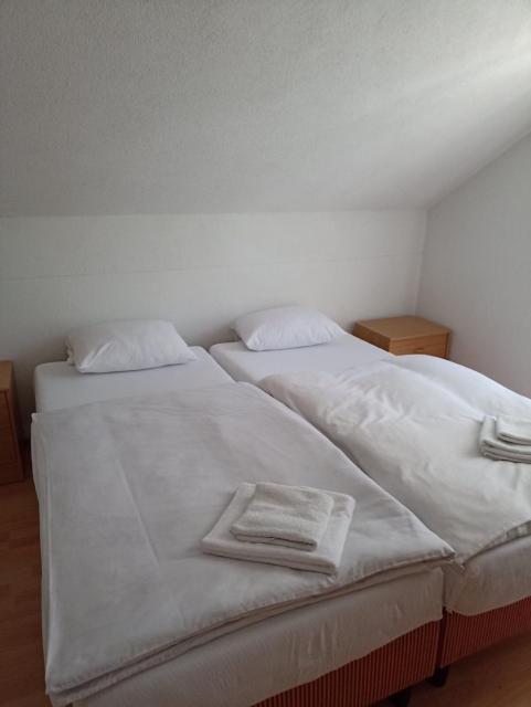 S&R Lake View Hostel