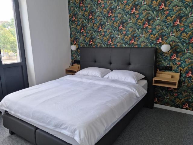BED Cauchy