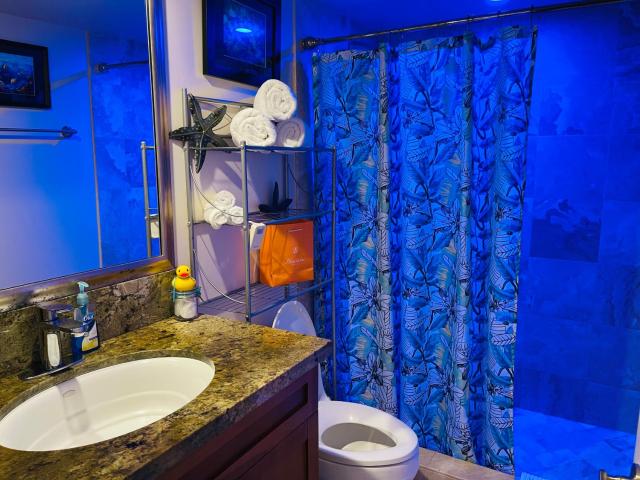 Kona Magic Honu Room