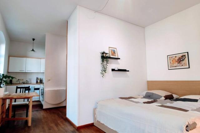 Modern Studio08 with big balcony in the Neustadt