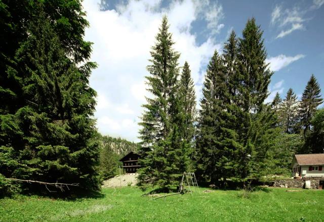 MOS Guesthouse Naturfreundehaus Brunig
