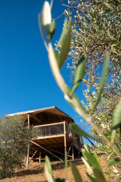 Glamping Podere San Jacopo