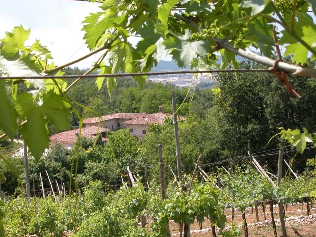 Agriturismo Ca' Verde