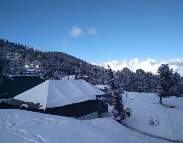 Camping at Serene Chopta