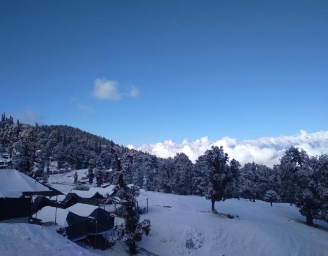 Camping at Serene Chopta