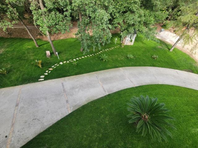 Casale Angela