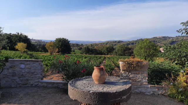 La tonnelle d'Olivier