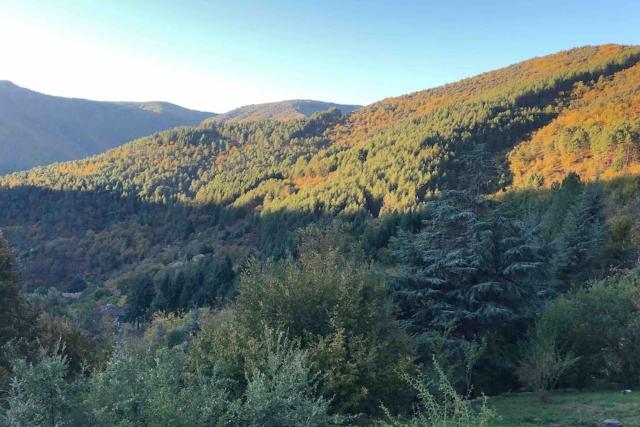 Maison rurale au cœur des Cévennes Ardéchoises