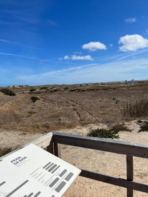 Tome's House - Baleal Solvillage 2