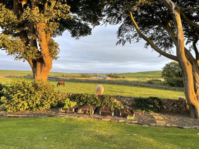 Galloway Farmstay Claunch