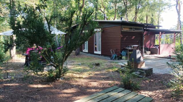 Bosbungalow de Eekhoorn