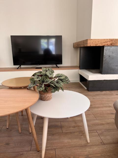 Grand appartement en centre-ville