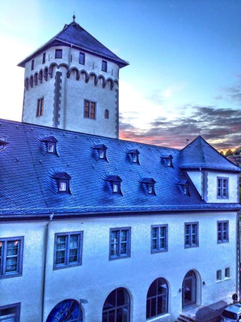 Hotel Rheinlust