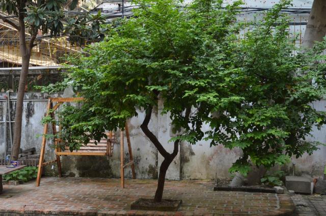 No. 6 Cuobian Hostel