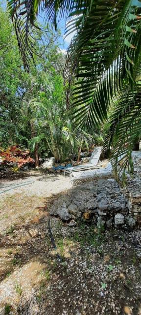 Studio 5 min from the beach