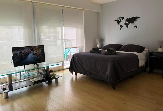 Cozy Studio in Palermo Soho with security 24 hs