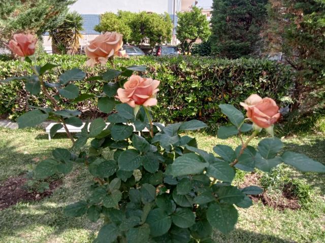 Villa Silvia b&b