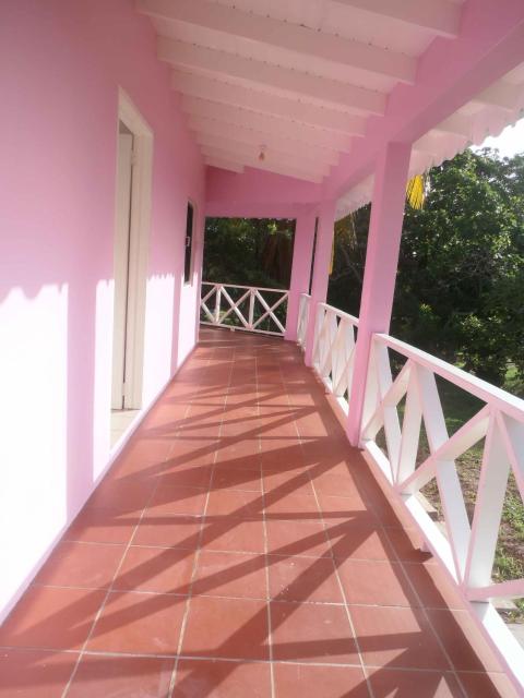 The Pink House