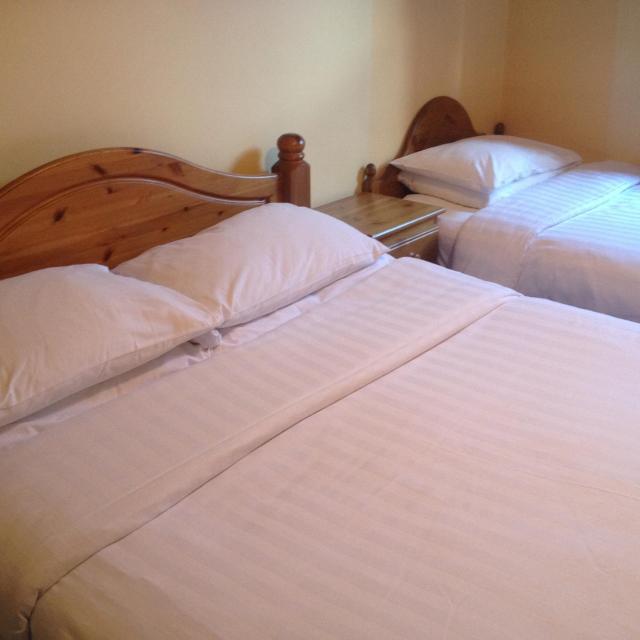 Twin Lions Hotel