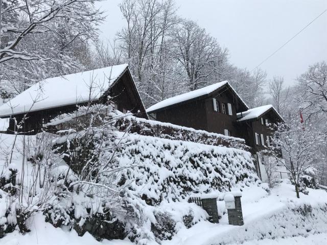 Romantic private superior Swiss Chalet with Hottub