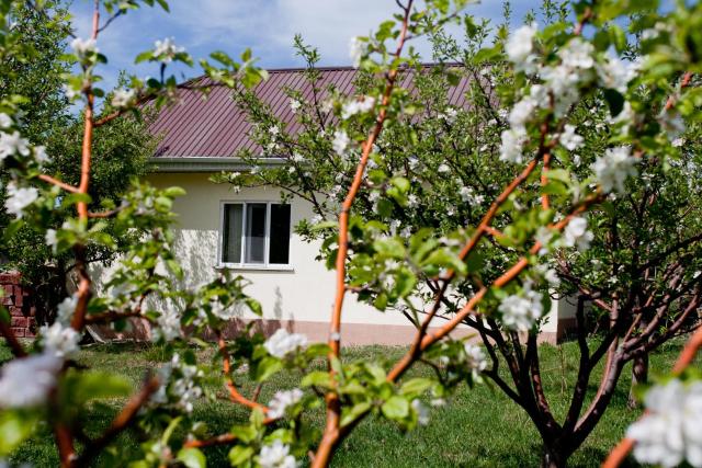 Barskoon Guest House