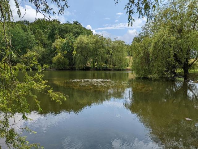 Maison spacieuse en pleine nature avec piscine, équipements de loisirs et randonnées à proximité - FR-1-653-105