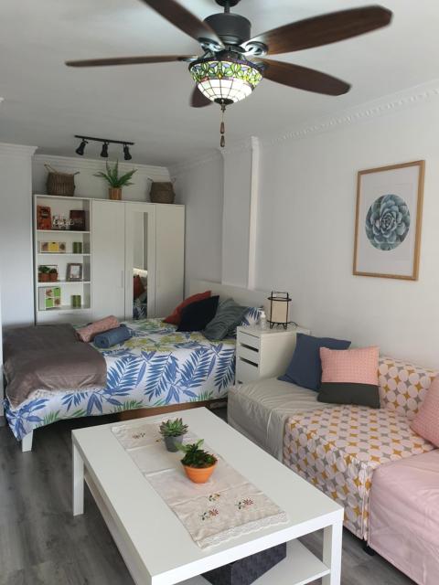 Playa del Ingles Estudio LOS MOLINOS 205