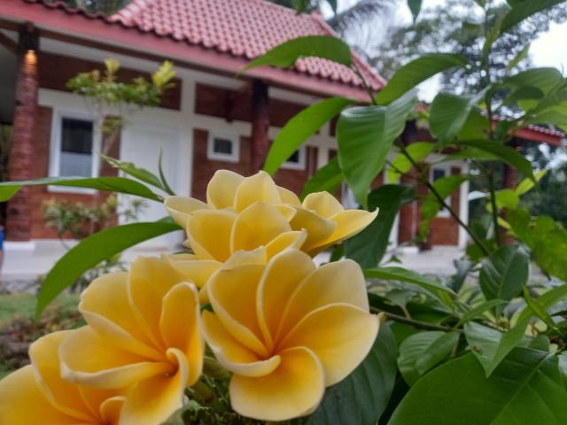 Guest House T
