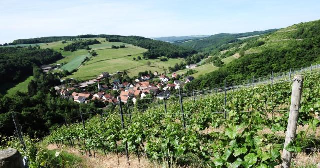 Weingut Hees - Landgasthof Zum Jäger aus Kurpfalz