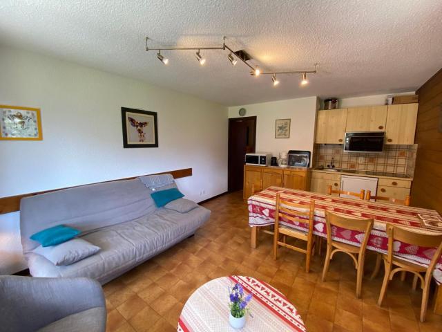 Charmant appartement au centre village, parking et animaux admis - FR-1-692-23