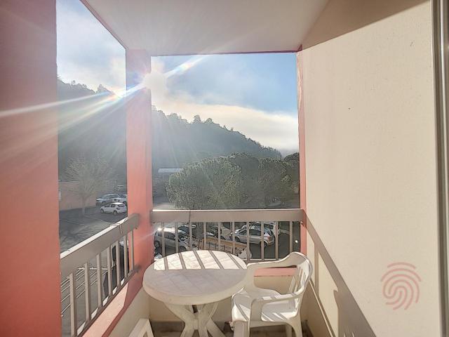 Studio rénové avec balcon, animaux acceptés, wifi, à 650m des Thermes - FR-1-451-92