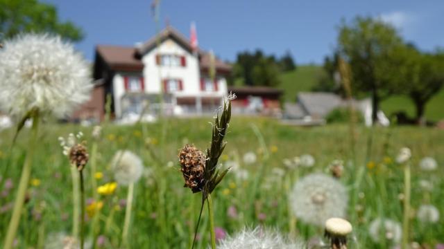 Gasthaus Schwand