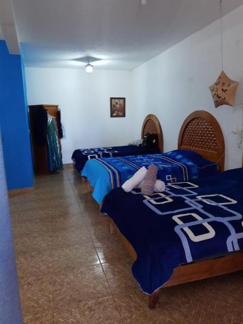 Hotel Villas Monteli Suites Cuernavaca
